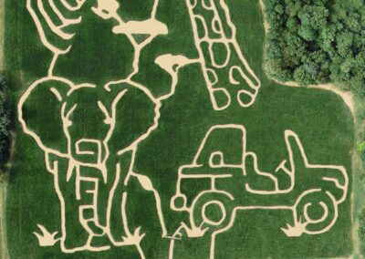 African Safari Corn Maze